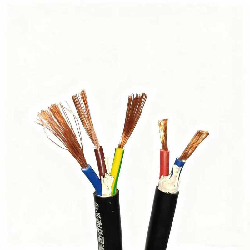 RVV PVC Sheathed Cable 300V Rated Voltage Multi-Core Copper Conductor Flexible Control Cable for Home Appliances